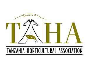 TAHA